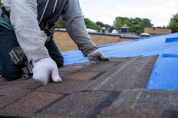 Best Metal Roofing Contractor  in Rosewood Heights, IL